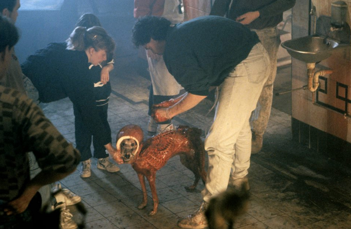 studioADI: ALIEN 3. Dressing the&nbsp;Whippet