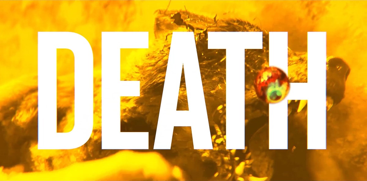 LOVE DEATH + ROBOTS. 💀&nbsp;Trailer