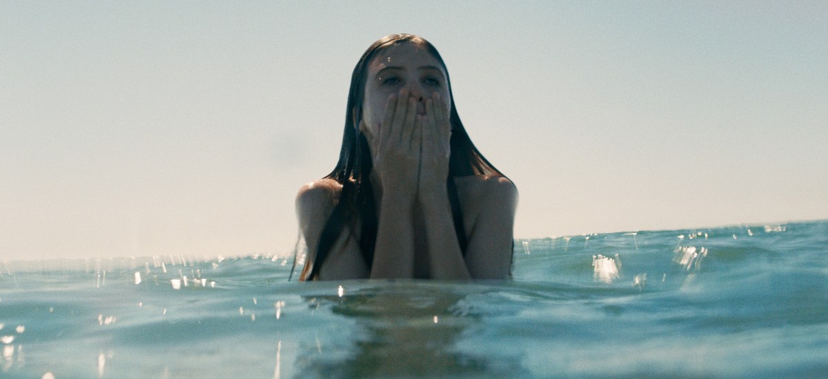 The cinematography of “VOIR: Summer of the&nbsp;Shark”